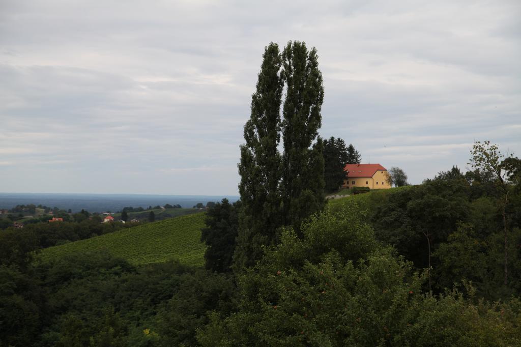 Holiday Home Maderka Strigova Екстериор снимка