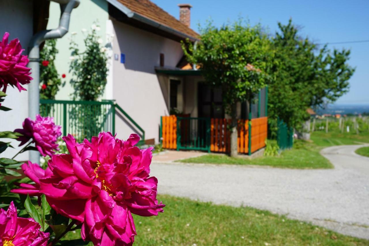 Holiday Home Maderka Strigova Екстериор снимка